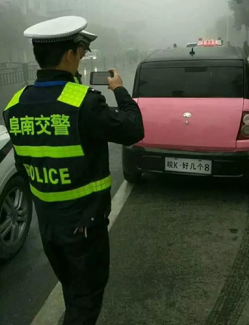 拥抱汽车多少钱